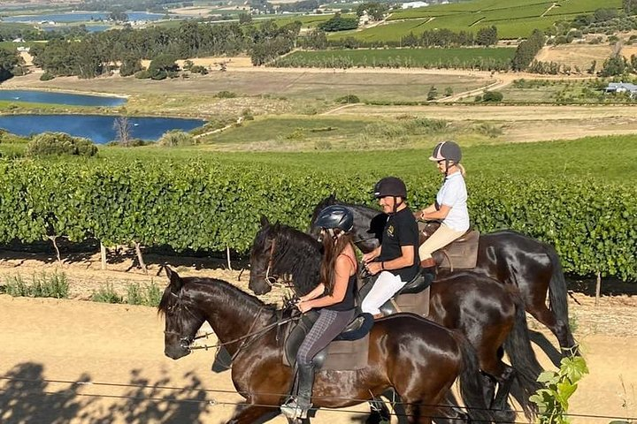 2h - Horse Trail - Photo 1 of 10